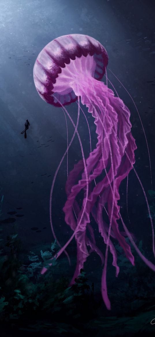 jellyfish, art, underwater world, tentacles, diving