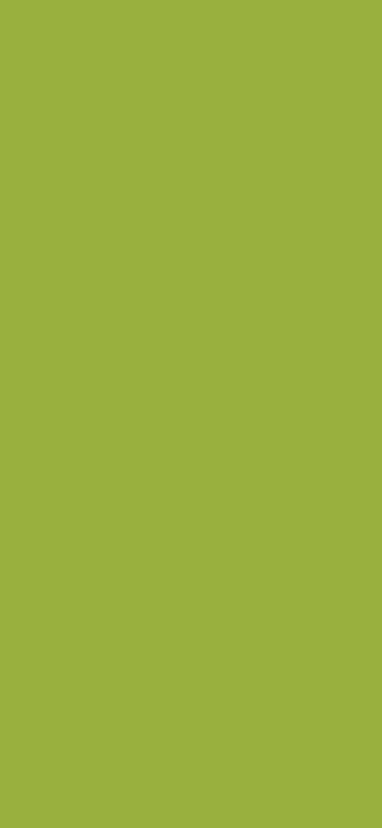 khaki, color, background, monochrome, minimalism, green