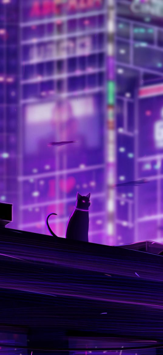 cat, roof, city, future, neon, backlight