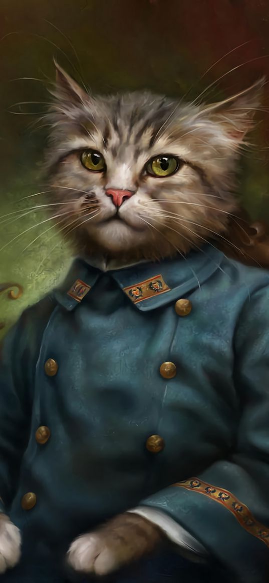 cat, art, portrait, picture, jacket