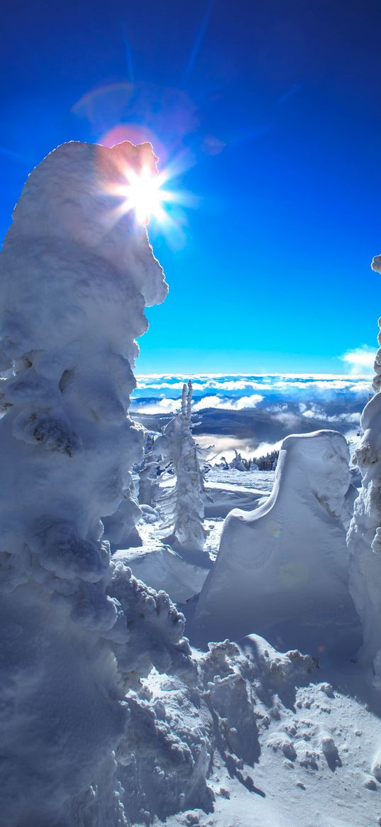 trees, snow, winter, snowdrifts, sun, landscape