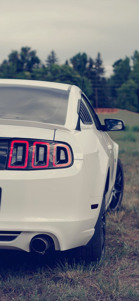 ford mustang, ford, car, white, rear view