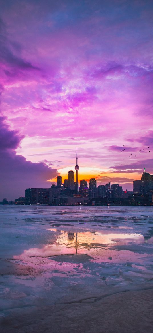 city, panorama, evening, toronto, canada