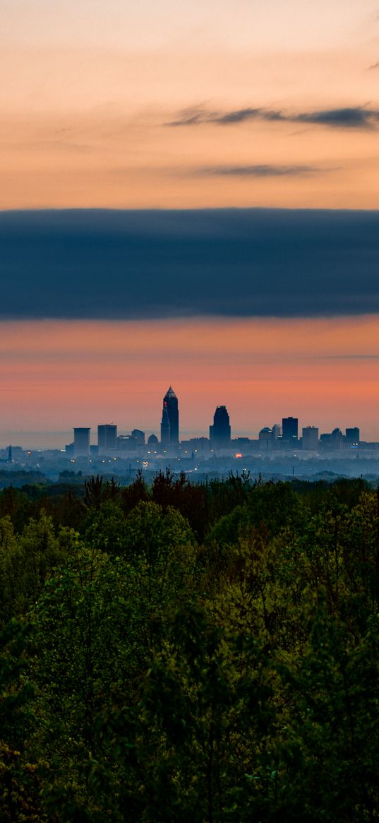 trees, city, twilight, view, tops, clouds