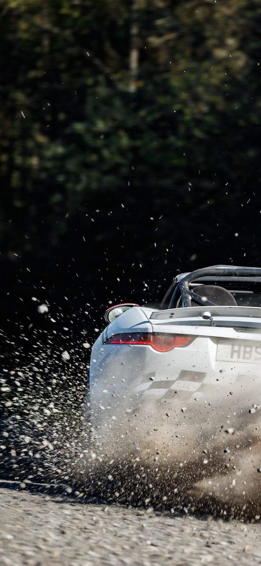 jaguar f-type, jaguar, sportscar, drift, rally, white