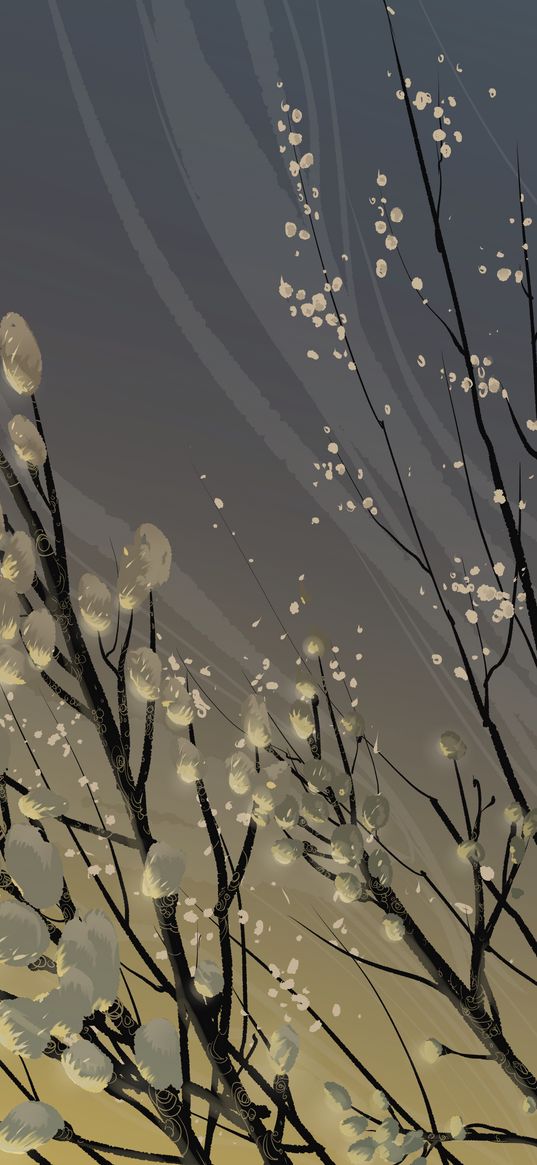 branches, vector, willow, flowers, art, flowering