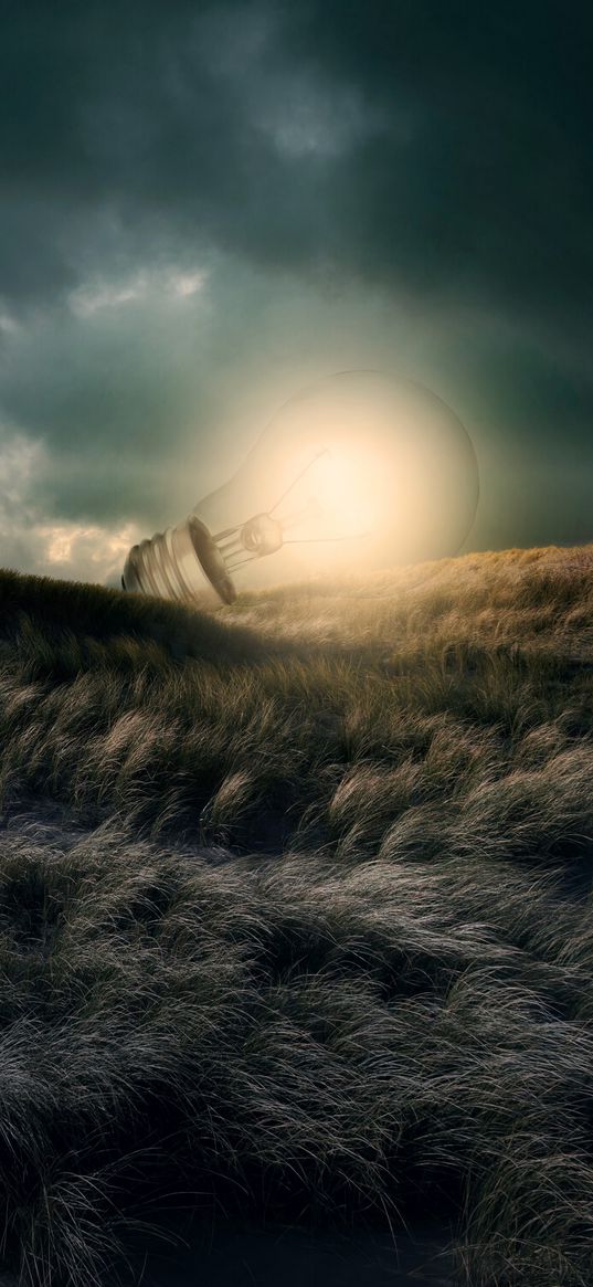 light bulb, glow, illusion, grass, clouds, photoshop