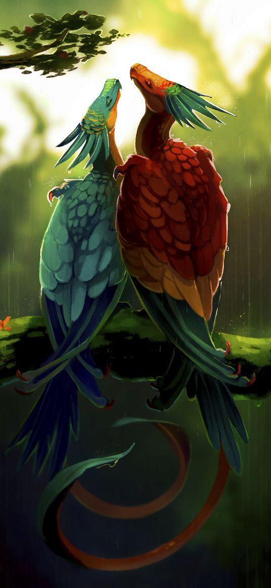 birds, dragons, art, fiction, colorful, pair, rain