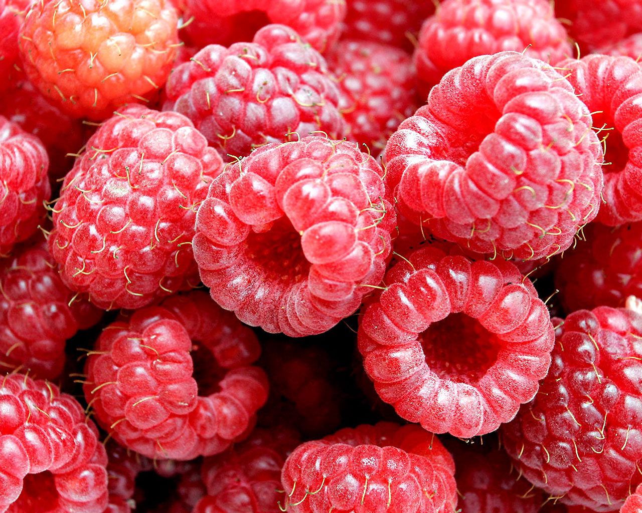 raspberry, berry, fresh