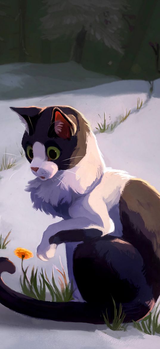 cat, flower, art, wonderment, snow, spring