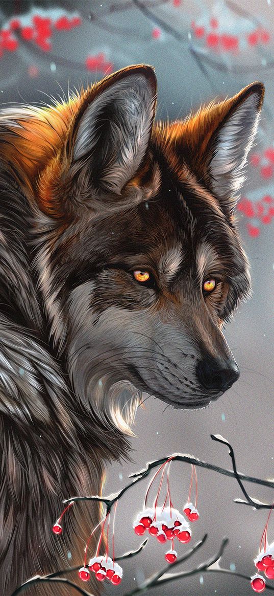 wolf, glance, art, predator, berries, branches