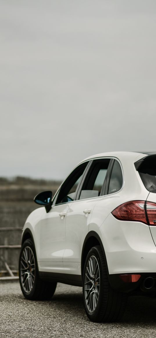 porsche cayenne, porsche, car, white, rear view, crossover