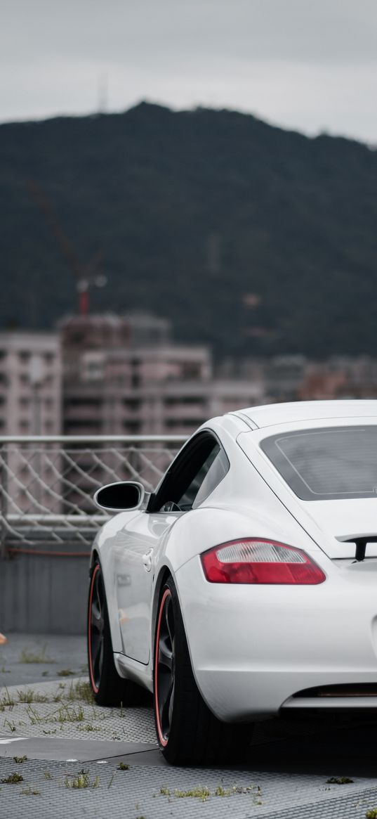 porsche cayman s, porsche, car, sports car, white, rear view