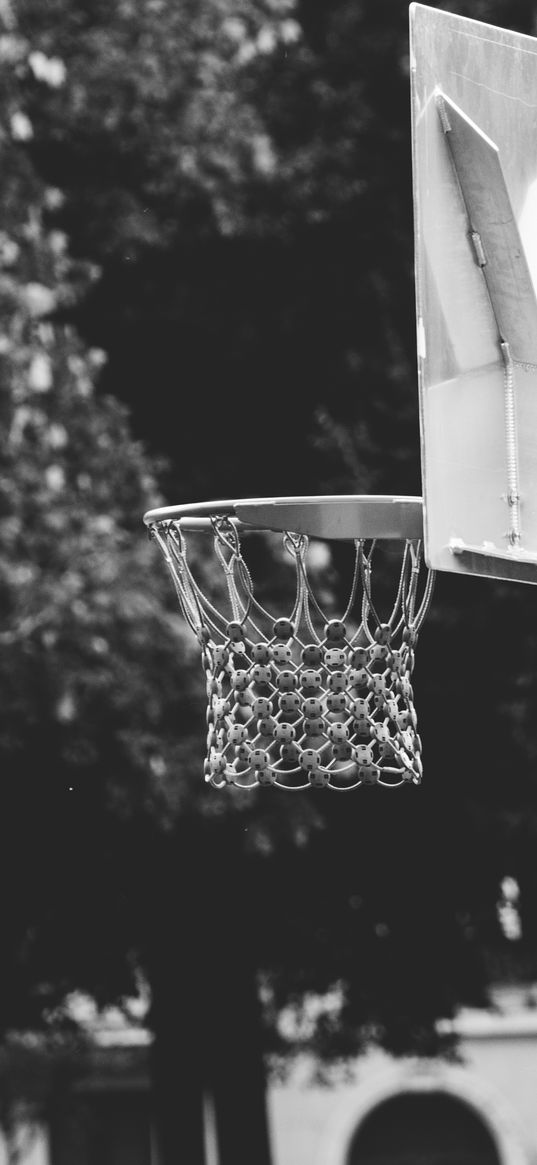 basketball hoop, bw, basketball, playground