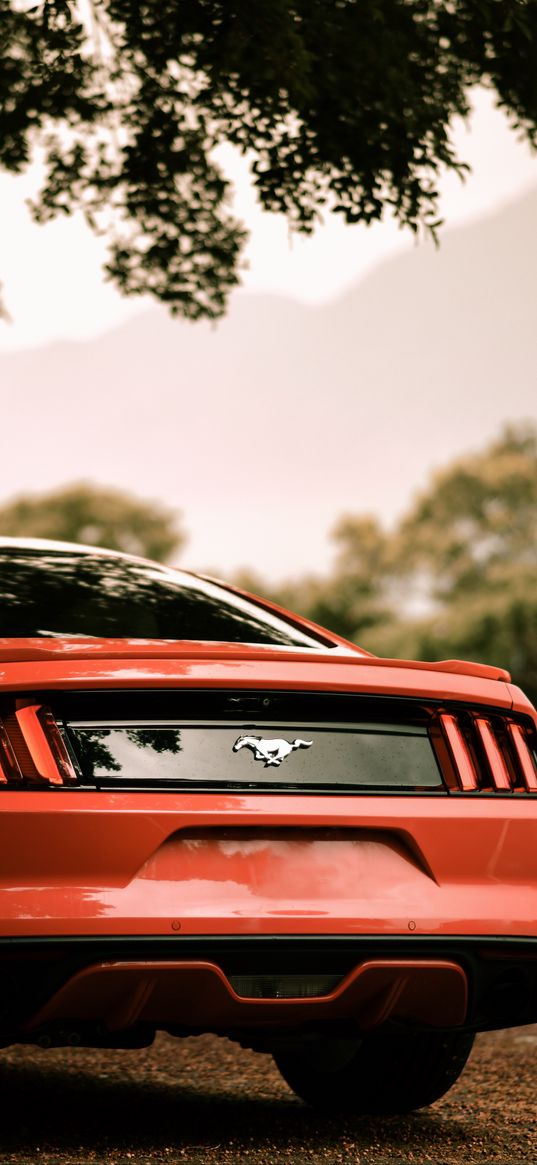 ford mustang, ford, car, red, rear view, parking