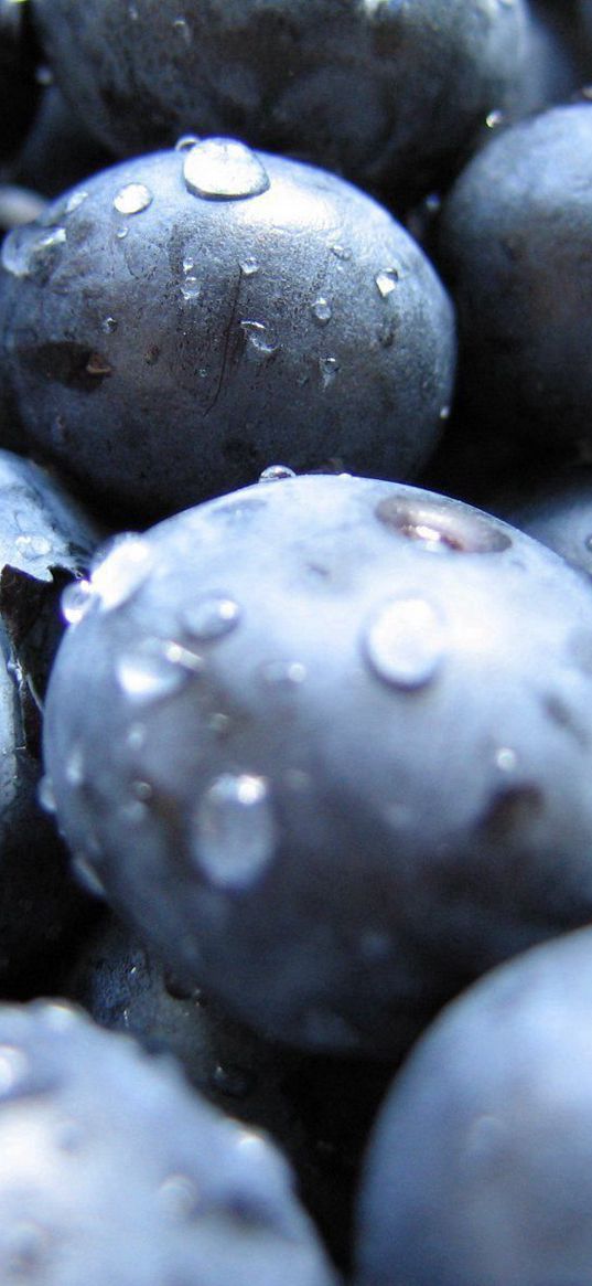 bilberry, berry, drops