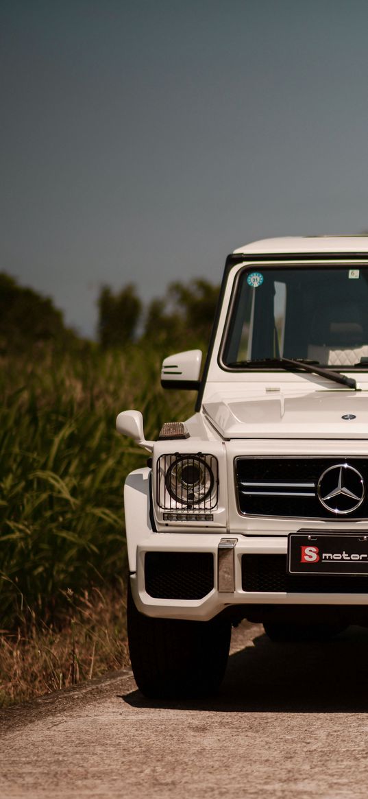 mercedes-benz g63 amg, mercedes, car, suv, white, front view