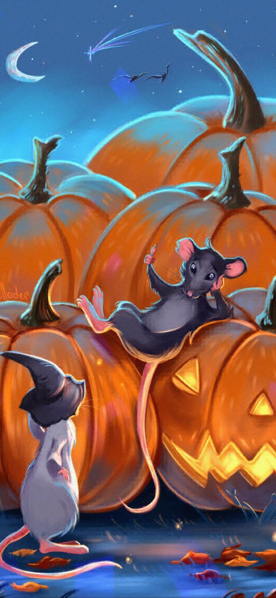 mouses, pumpkin, art, halloween, night