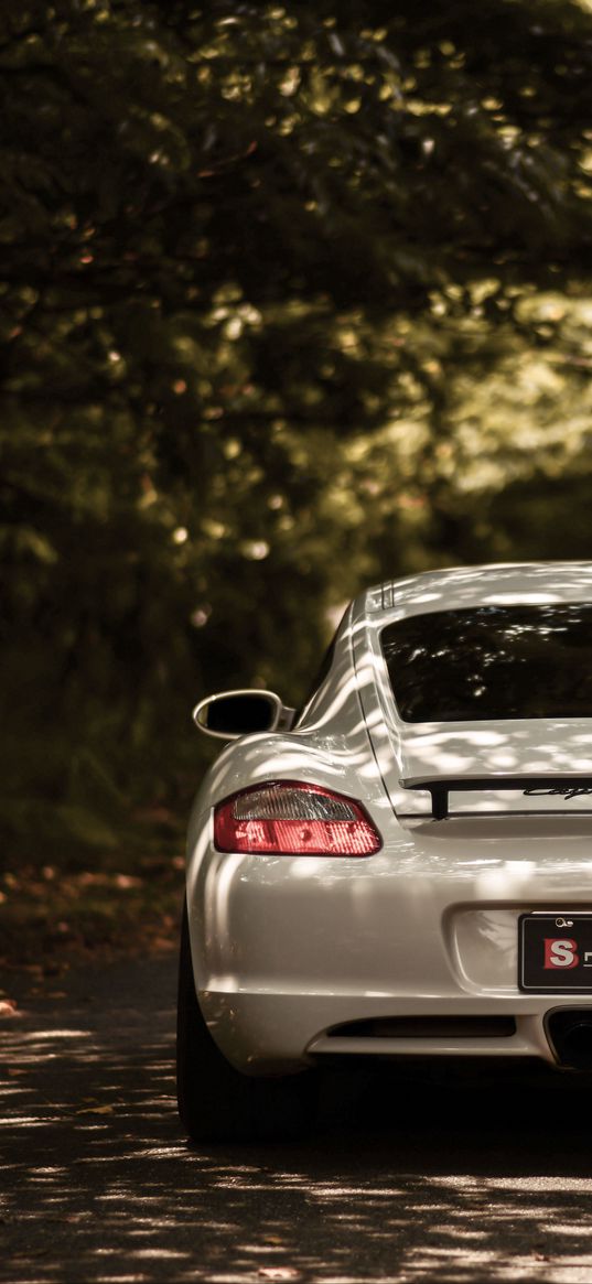 porsche cayman s, porsche, car, sportscar, white, rear view