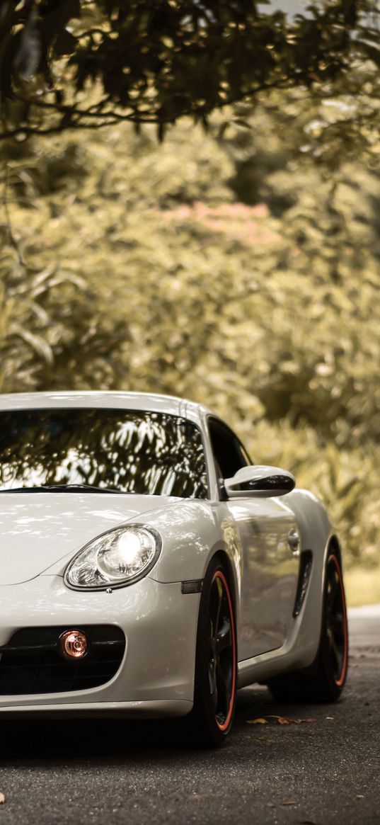 porsche cayman s, porsche, car, sports car, white, front view, asphalt