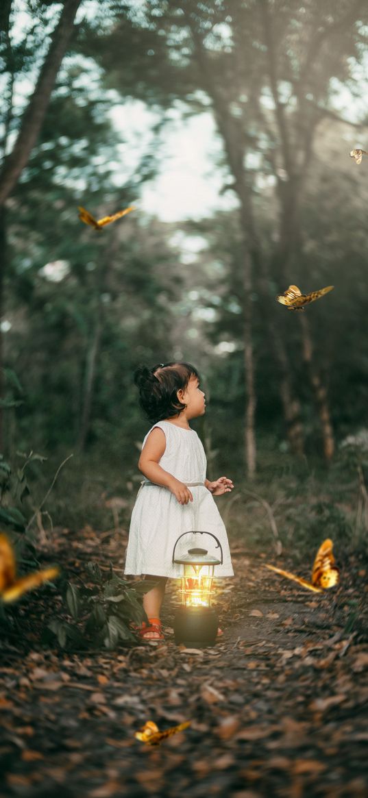 child, butterflies, lantern, forest, path