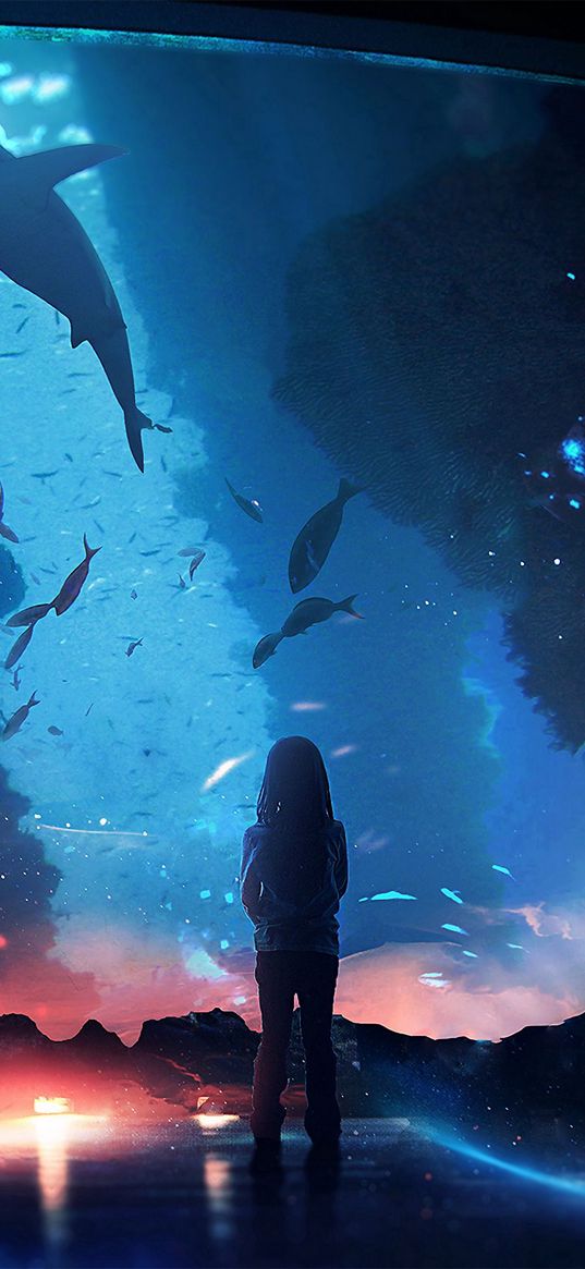 silhouette, aquarium, fish, dark, backlight