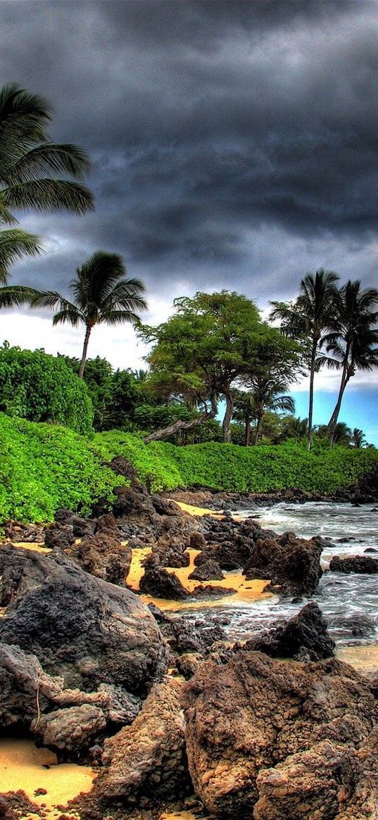 palm trees, stones, coast, clouds, sky, beach, storm