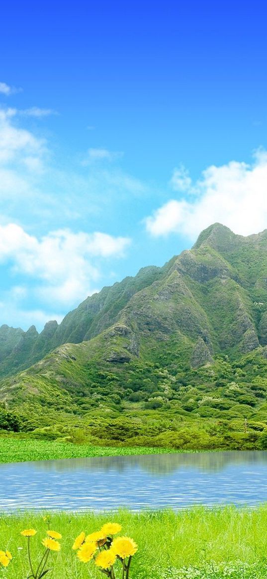 mountains, lake, sky, flowers, butterfly, summer