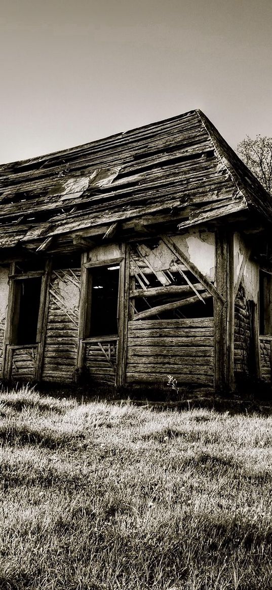 house, wooden, ruins, black-and-white