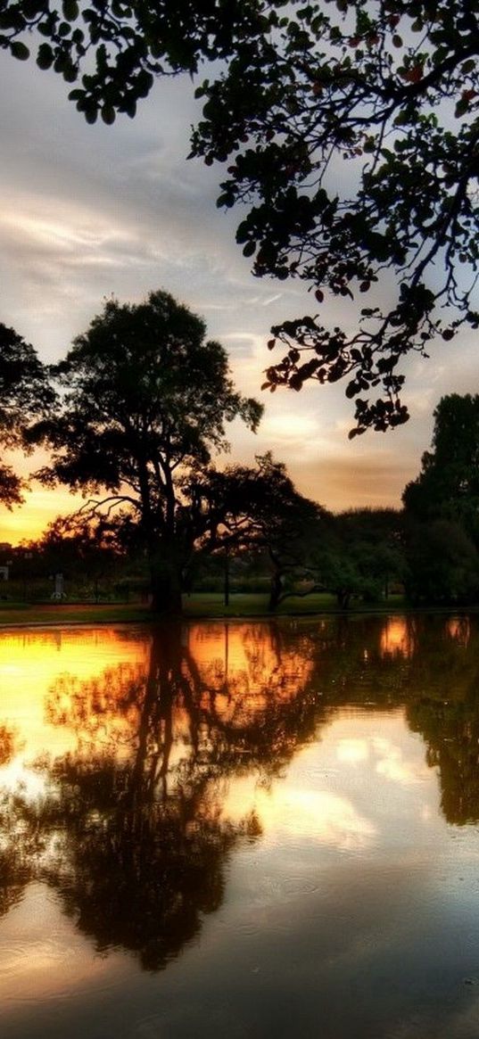 trees, evening, lake, reflection, twilight, summer