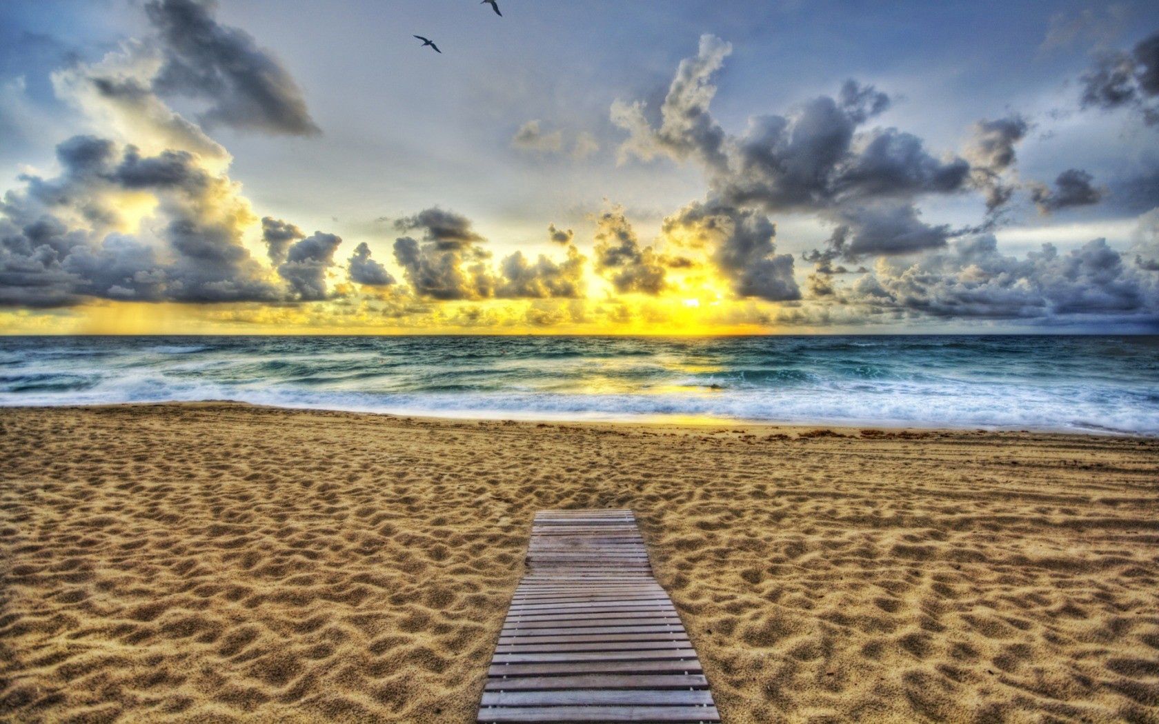 sand, coast, beach, evening, birds, decline, path