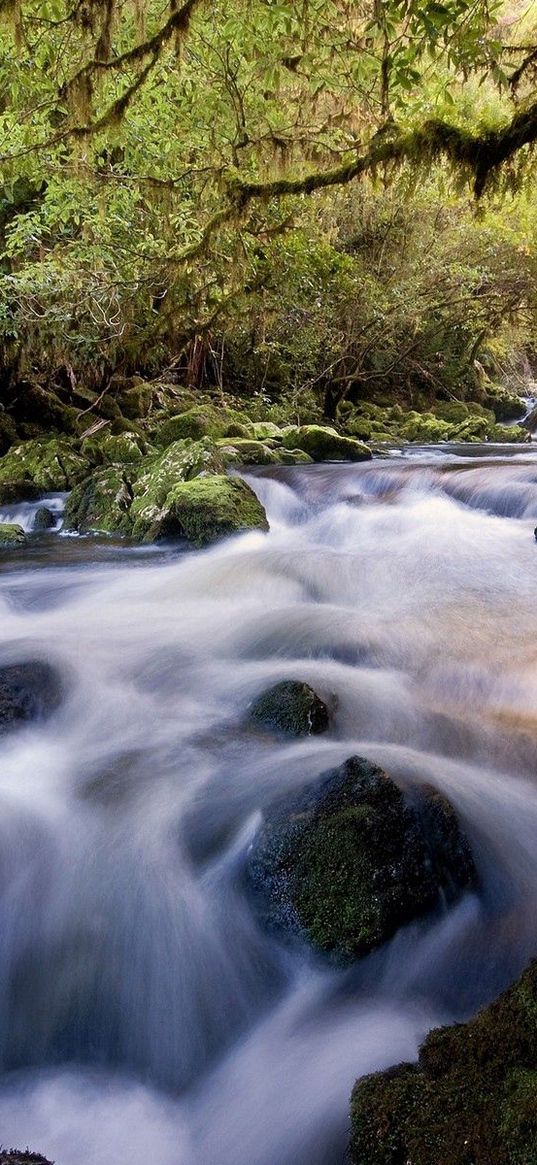 water, stream, river, stones, wood, moss, vegetation