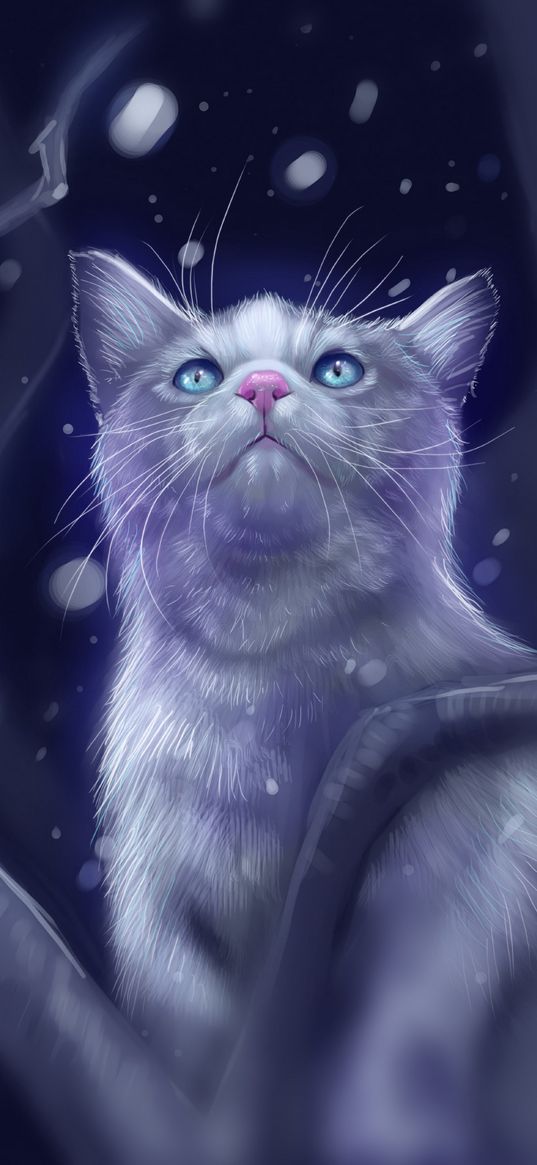 cat, glance, art, snow, glare