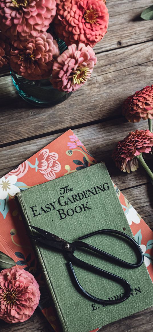 book, scissors, flowers, dahlias, pink