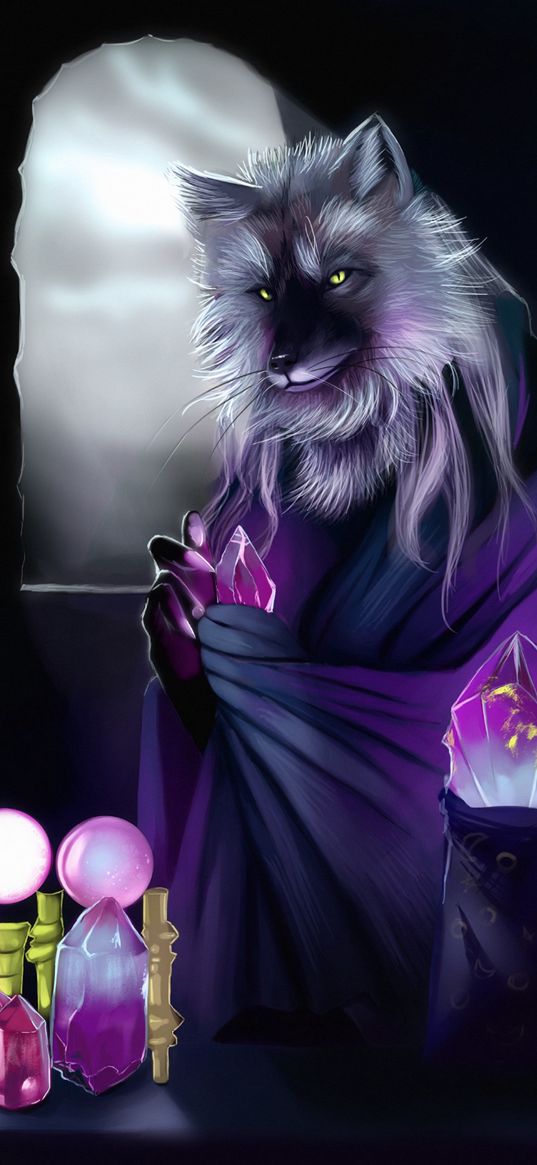 wolf, alchemist, art, crystals, magic