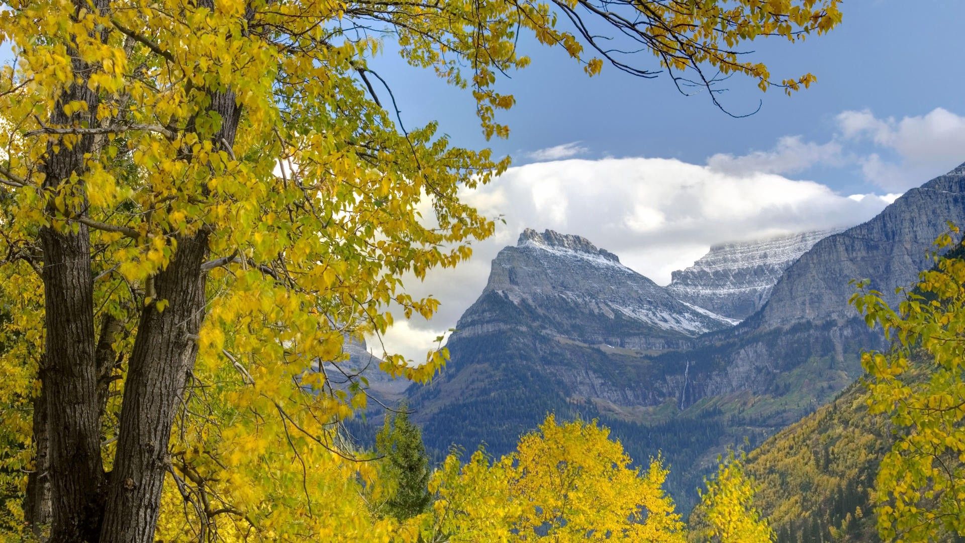 trees, mountains, autumn, leaves, branches, distance