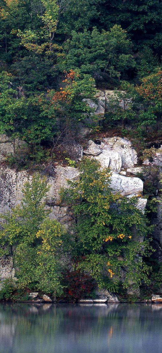 rocks, trees, lake, vegetation, water smooth surface