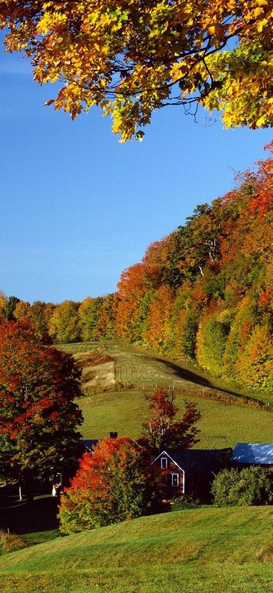 village, autumn, houses, trees, meadows