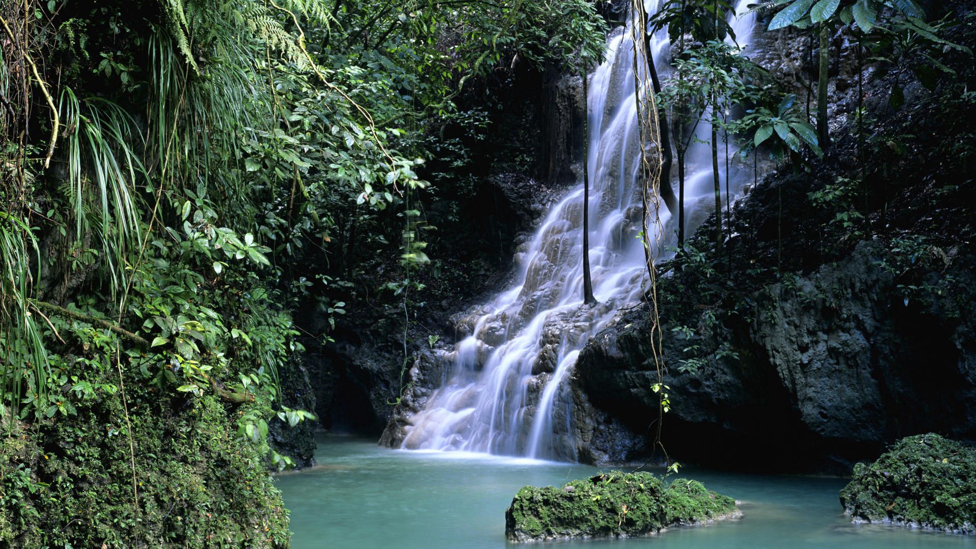 falls, vegetation, greens, gorge, moss, leaves