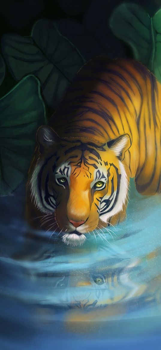 tiger, lake, art, glance, predator