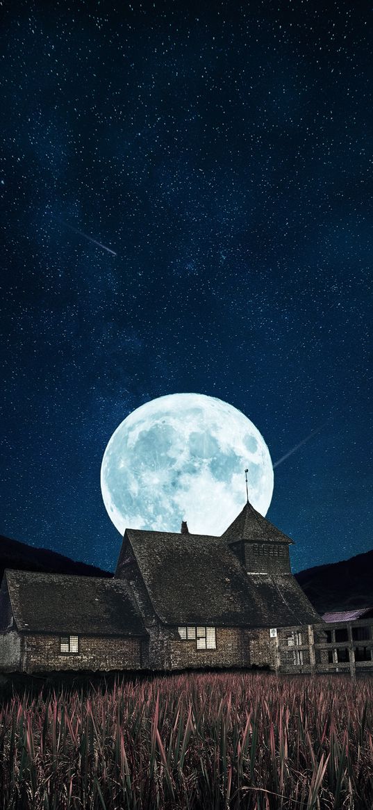 building, moon, night, full moon, starry sky