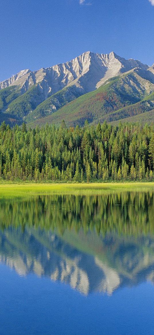 national park, canada, british columbia, mountains, trees, dog lake