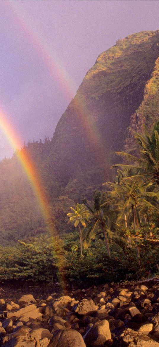 rainbow, sky, stones, clouds, palm trees, coast, hawaii