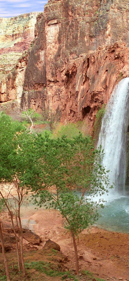 havasu falls, arizona, canyon, trees, greens