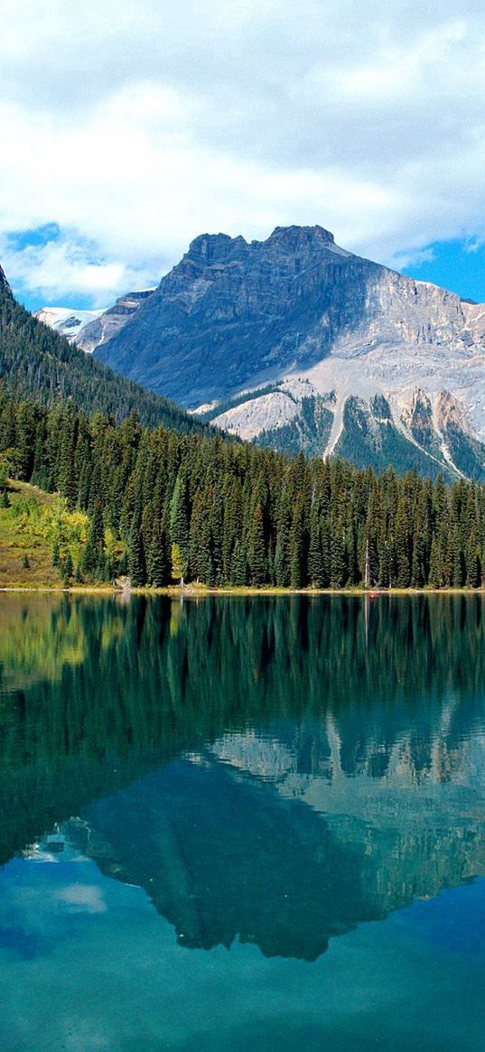 emerald lake, national park, lake, trees, reflection, mountains