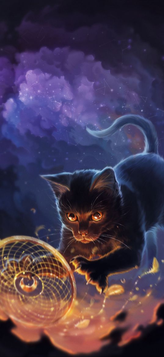 cat, talisman, dreamcatcher, feathers, art