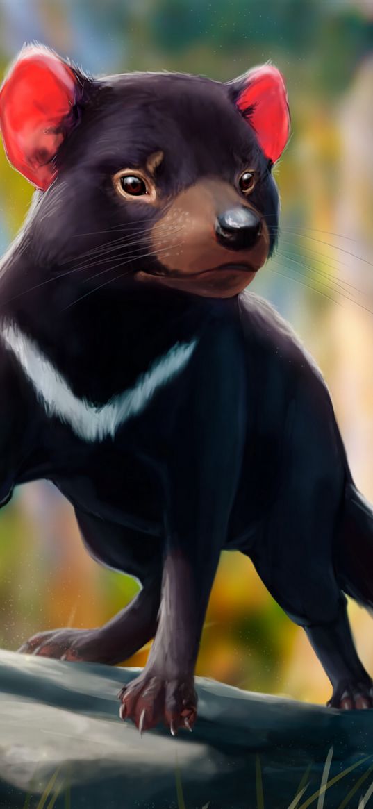 tasmanian devil, beast, animal, art, wildlife