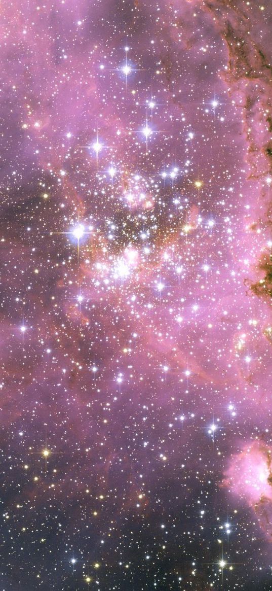 stars, pink, light, galaxy