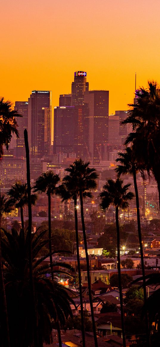 city, palm trees, sunset, buildings, skyscrapers, los angeles