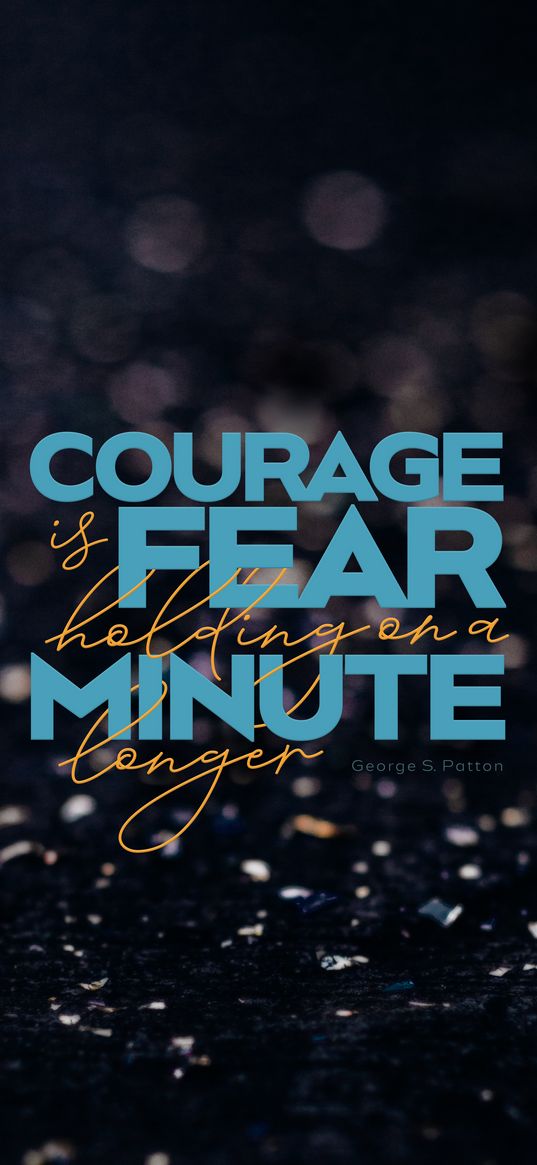 quote, courage, fear, thought, saying